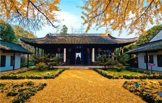 1764241032008052721.jpg eb3949c57118d3b9ab3be9af7b3a7a0d_副本.jpg