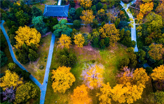 1764241083917089523.png 图片1_副本.png