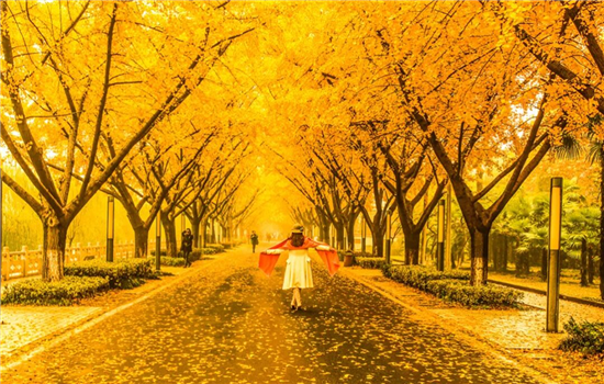 1764241097519030796.png 图片3_副本.png