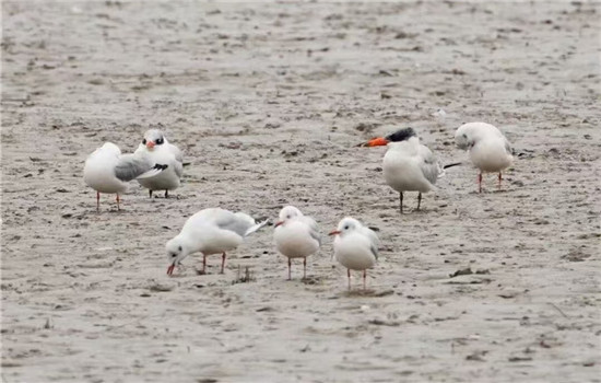 1763340265692003340.jpg 微信图片_20251117083750_1290_19_副本.jpg