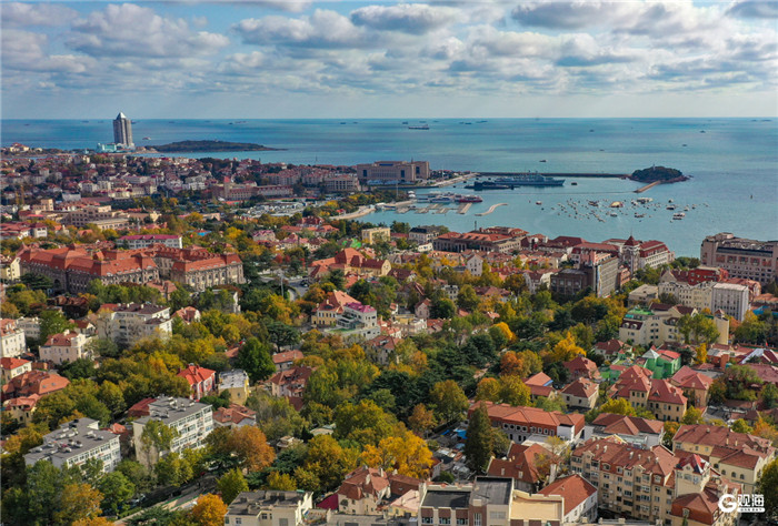 1765850513972006463.jpg 10-青岛秋景-3_副本.jpg