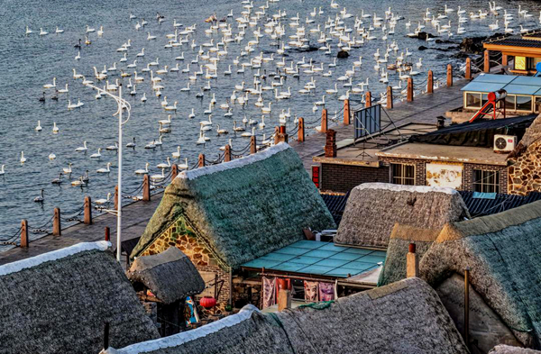 1766651939554087730.jpg 山东1_600.jpg