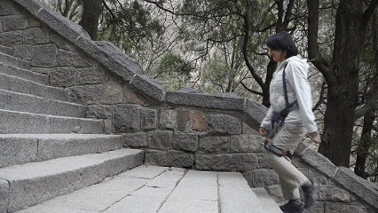 1765788068533042949.gif 山东2-1.gif