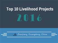 Special report: Top 10 livelihood projects in 2016