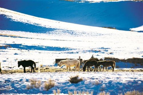 Photos mark Inner Mongolia’s 70th anniversary (Series 3)