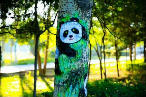 Colored paintings shine the trees in Baotou