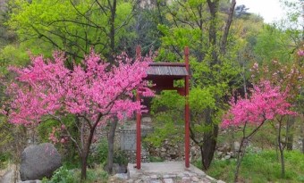 Peach Blossom Valley