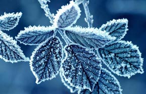 24 Solar Terms: Frost's Descent