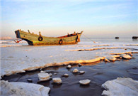 Frozen beauty at Jiaozhou Bay