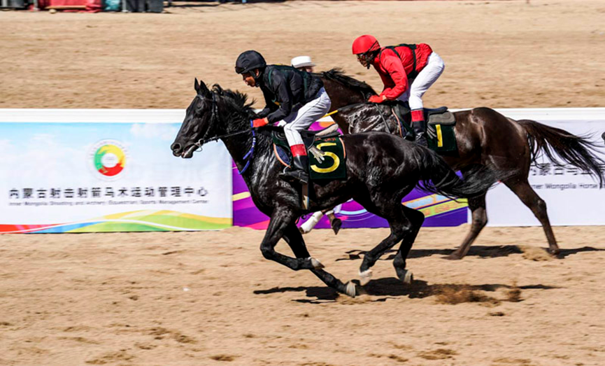 Equestrian  festival entertains Hohhot 