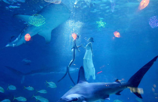 Underwater wedding show greets Qixi festival