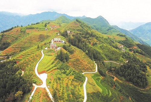 Hilly Tian'e model of modern specialty product farming