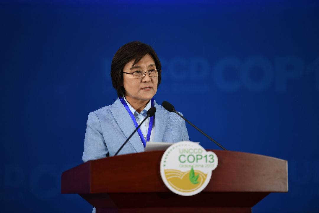 Bu delivers a speech at UNCCD COP 13