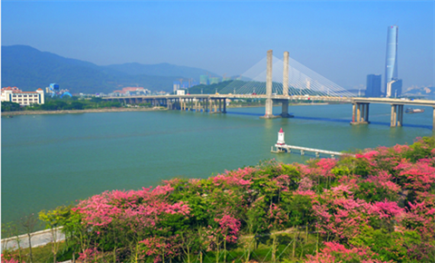 Hengqin to lure even more expat Chinese experts
