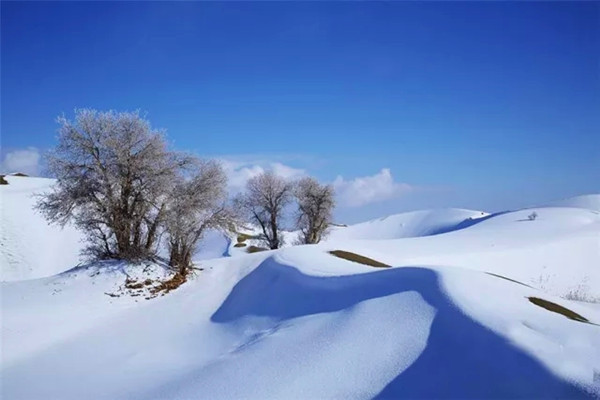 Snowfall decorates Inner Mongolia