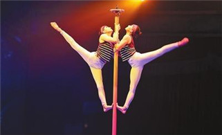 Zhuhai Int'l Circus Festival rated among the greatest
