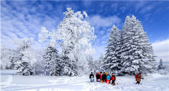 Xueling Mountain, a winter fairyland