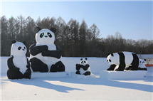 Panda ice sculptures bring cuteness to cold weather in NE China