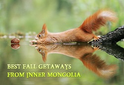 Best fall getaways from Inner Mongolia