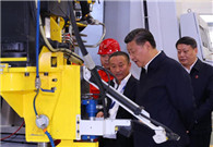 Make Northeast a pillar, Xi says