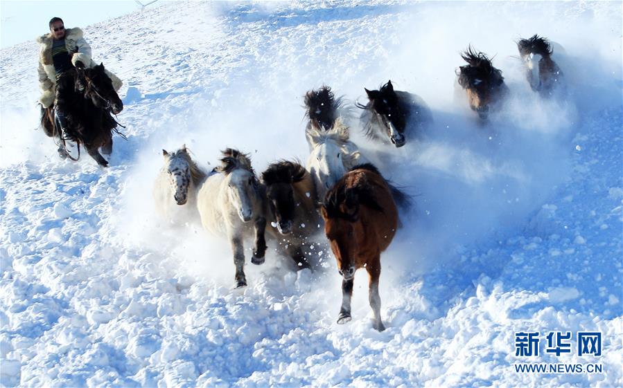 Herdsmen lasso horses in Xiliin Gol snowfields