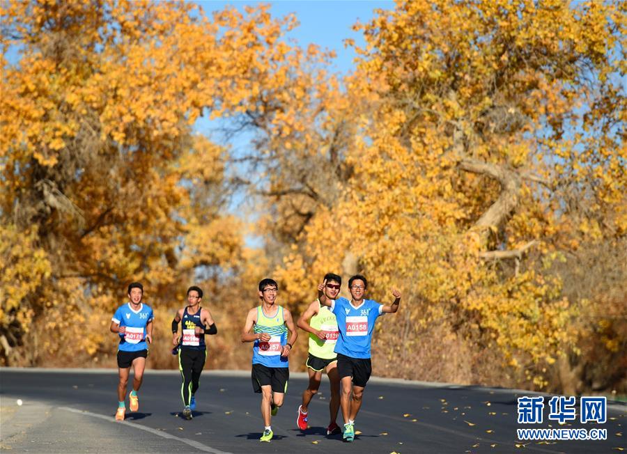 Runners cross rare desert poplar forest