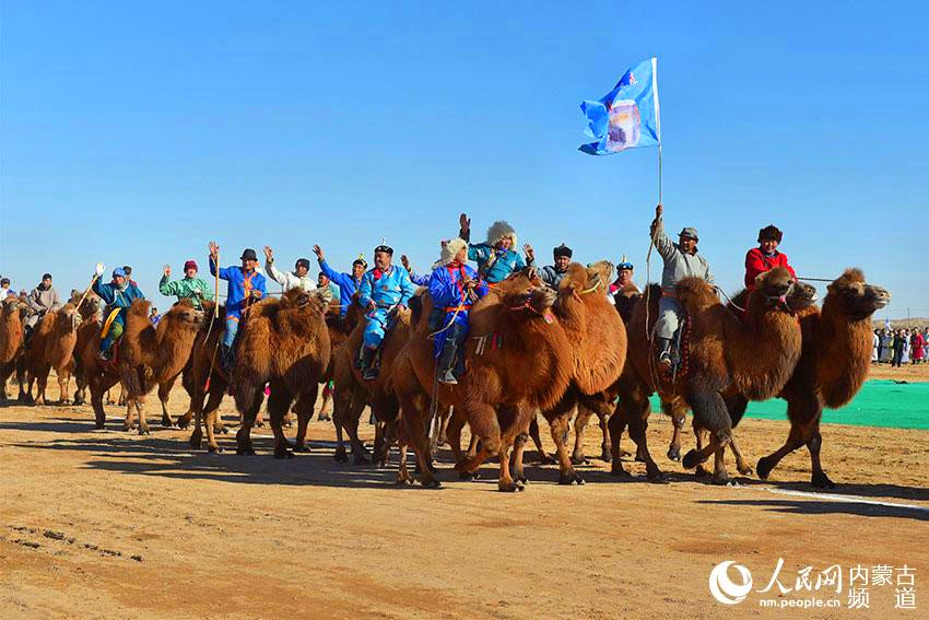 Camels take center stage at Nadam event 