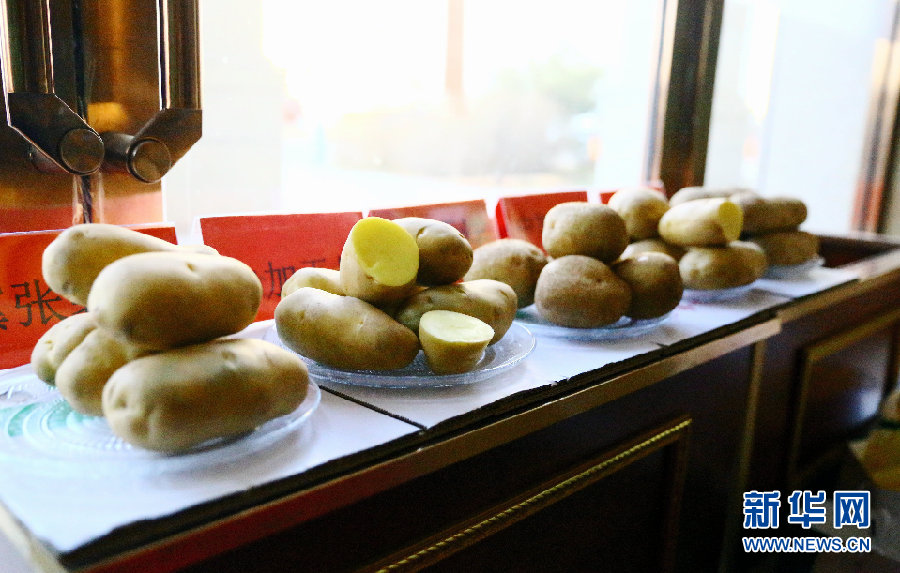 Trade fair held in Ulaanqab to promote potato industry