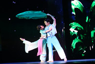 Dance show offers a peek at Guangdong’s artistic achievements