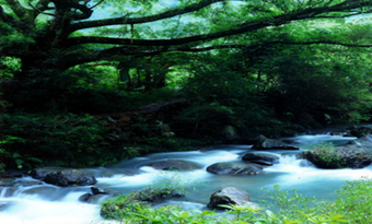 Shimen National Forest Park