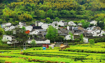 Best towns and villages to visit in Ningbo (2)
