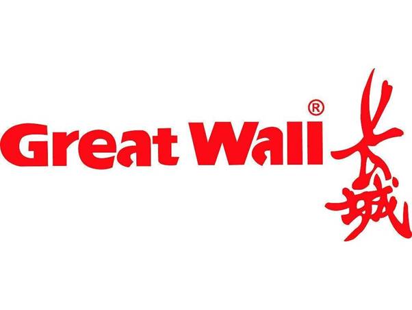 chinagreatwallcomputershenzhencoltd