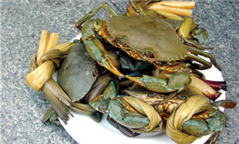 Doumen Double-Shelled Crab (斗门双壳蟹/Doumen Shuangke Xie)
