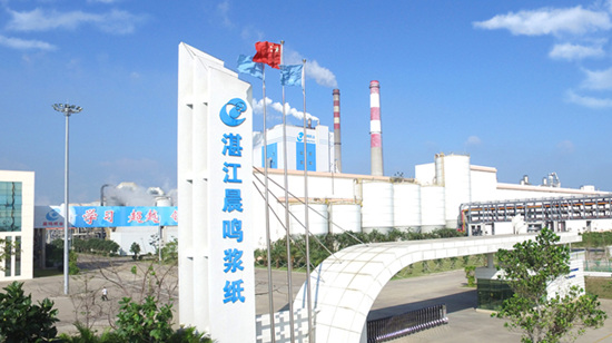 Jiangxi Five Star Paper to invest in high-capacity P-RC APMP line at pulp  mill in China