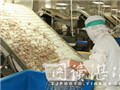 Zhanjiang resumes shrimp export to Australia