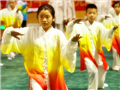 Zhanjiang hosts martial art competition