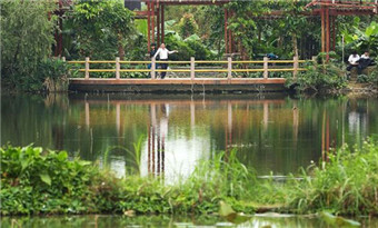 The Lvtang River Wetland Park
