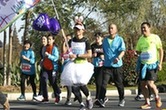 Rabbit pacer entertains runners in Mashan Marathon