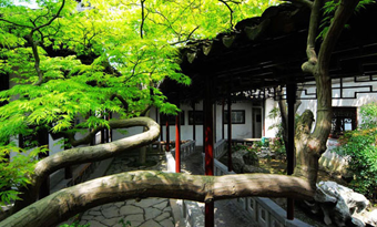 Classical Gardens of Suzhou (Humble Administrator's Garden, Huqiu Mountain, Lingering Garden)