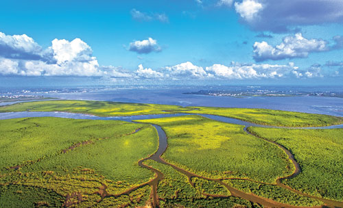 New wetlands help to transform tourist capital