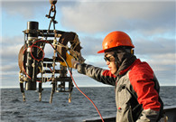 Sino-Russian expedition provides Arctic data