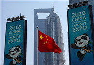 Highlights of Xi's keynote speech at import expo