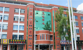 The Library of Wangqing County