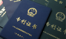 Shanghai deepens co-op with global IP organization