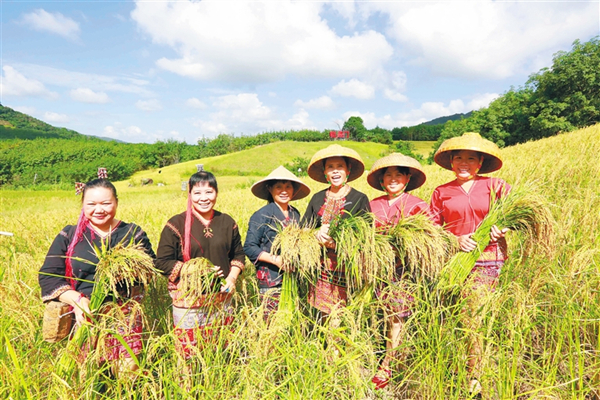 Baisha harvest festival promotes folk customs 