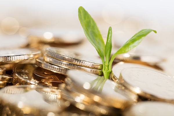 Committee set to promote green finance cooperation