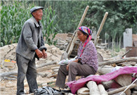 Xinjiang building millions of houses able to resist quakes