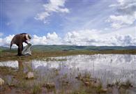 Qinghai-Tibet Plateau adopts measures to address climate change