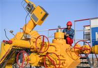 Xinjiang oilfield closed to protect endangered animals