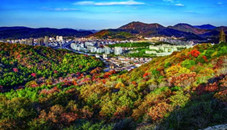 Zhoushan honored as national forest city